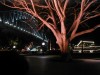 Sydney Harbour bridge by night

Trip: Round the World in 5 Weeks
Entry: Sydney
Date Taken: 12 Sep/03
Country: Australia
Taken By: John
Viewed: 1972 times
Rated: 10.0/10 by 1 person